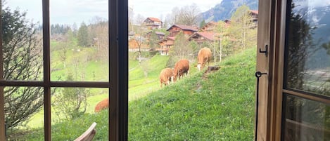 A view through an open window of a green hillside with cows grazing, houses in the background, and a mountain range.