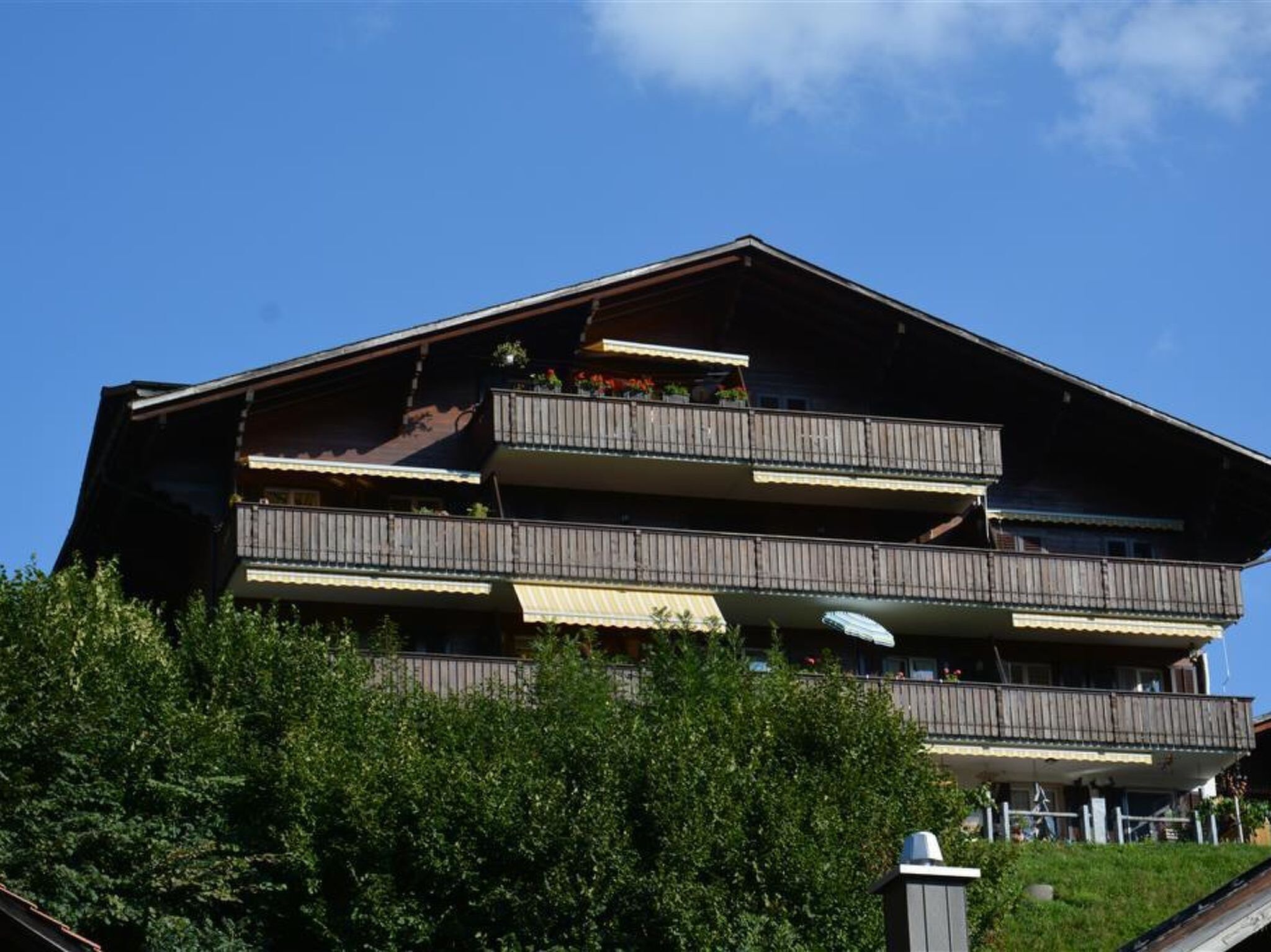 Exteriör