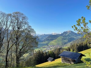 Un paysage rural avec une montagne, une petite cabane en bois et un panneau solaire.