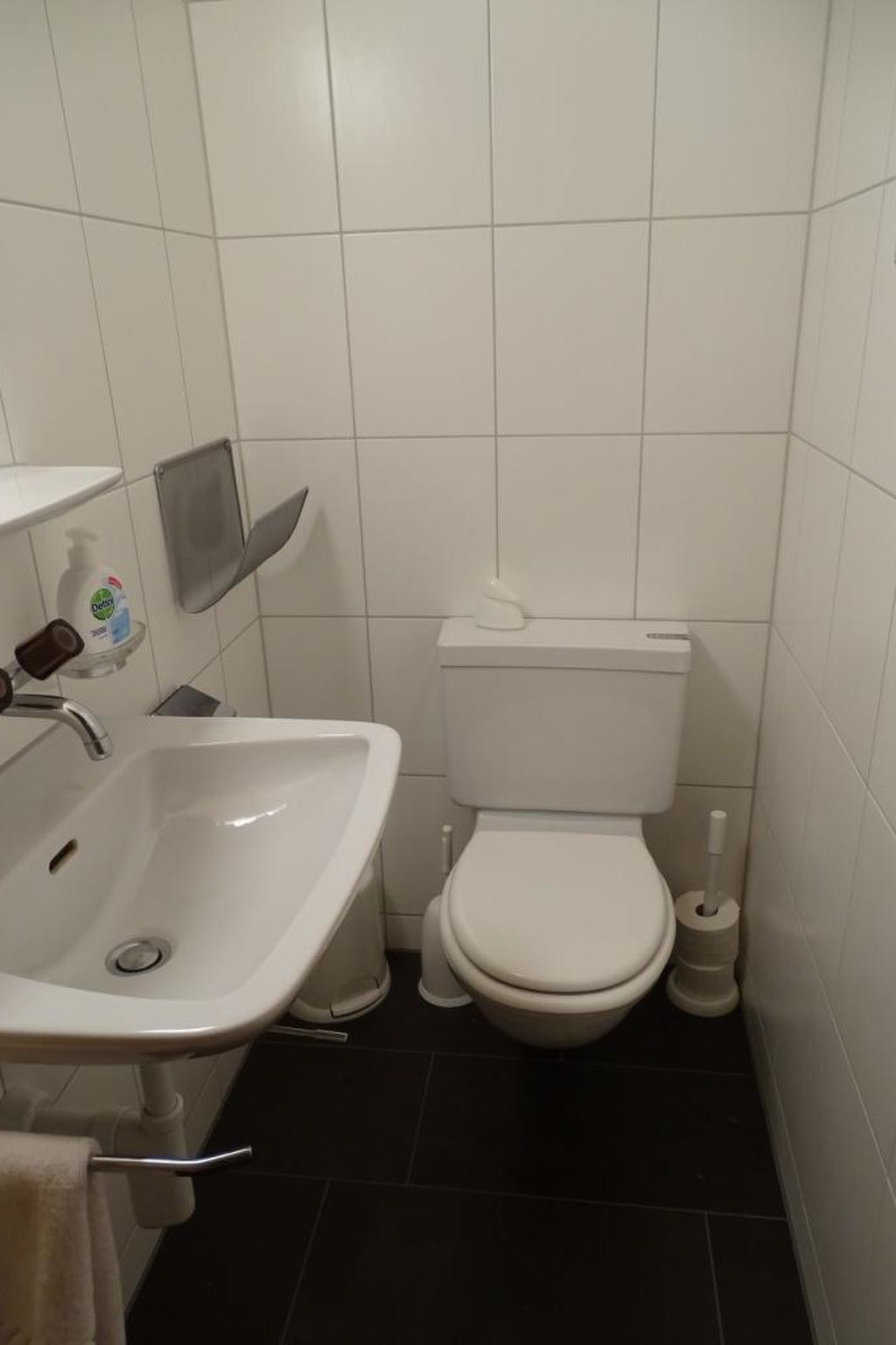 Une salle de bain avec un lavabo blanc, des toilettes et une petite étagère contenant des articles de toilette.