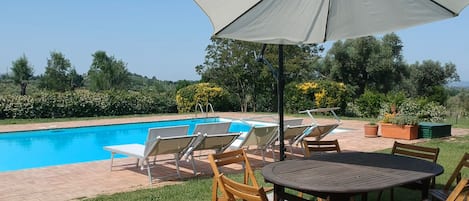 Una piscina con sillas de descanso y una mesa, rodeada de vegetación y plantas en macetas.