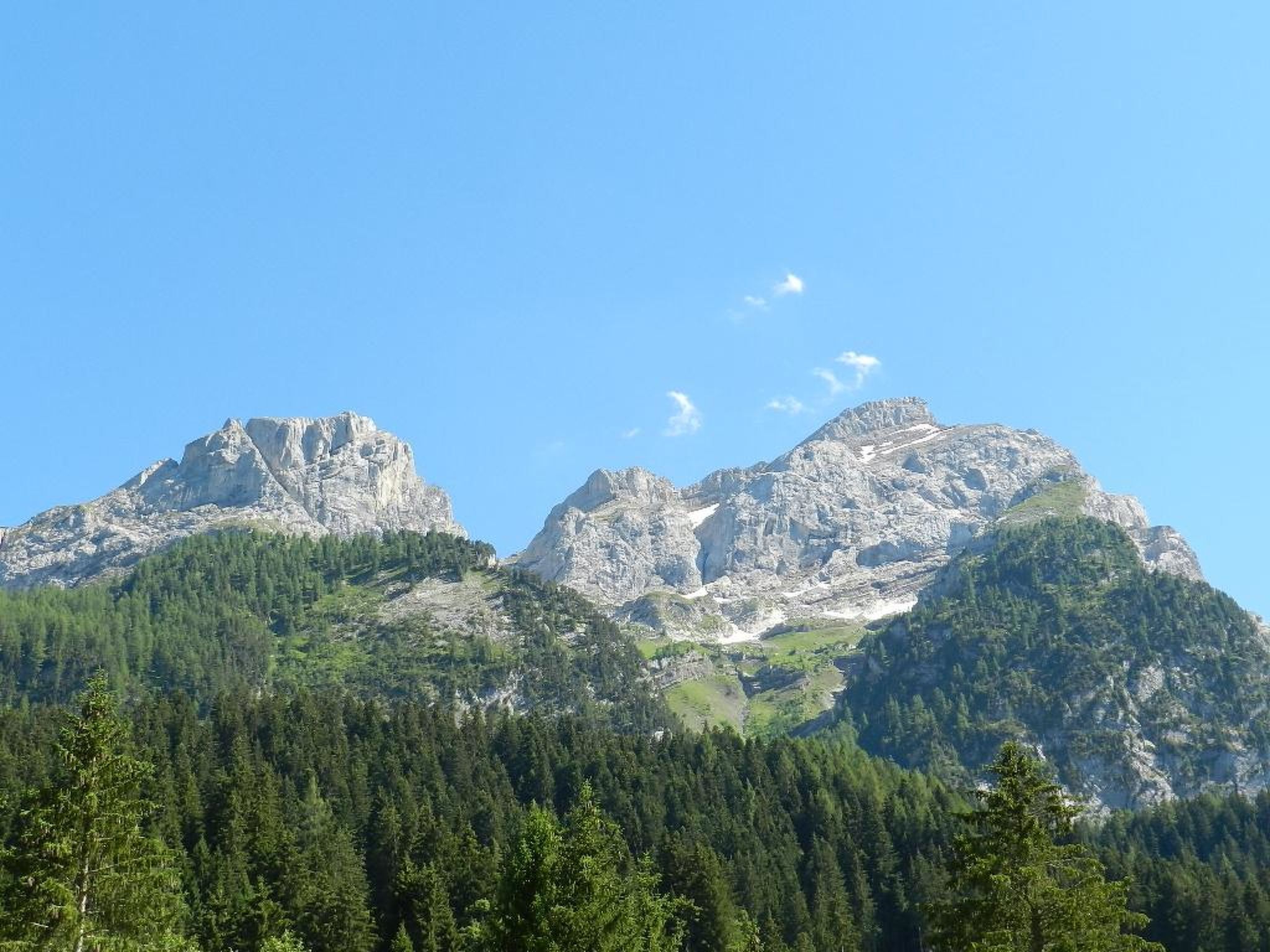 Un paisaje montañoso con picos rocosos y un bosque denso.