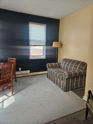 Living area - Cozy 2-bedroom apartment in Pittsburgh on the trolley line 10 min from downtown (Pittsburgh)