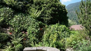 Ein Garten mit verschiedenen Pflanzen und einer Steinsitzbank.
