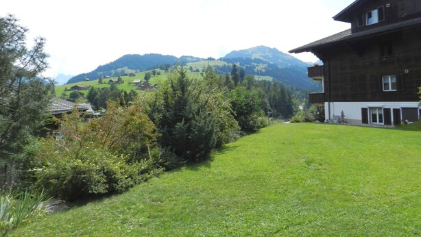 Ländliche Landschaft mit einem großen Holzhaus, einer grünen Wiese und Bergen im Hintergrund.