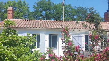Esterni
