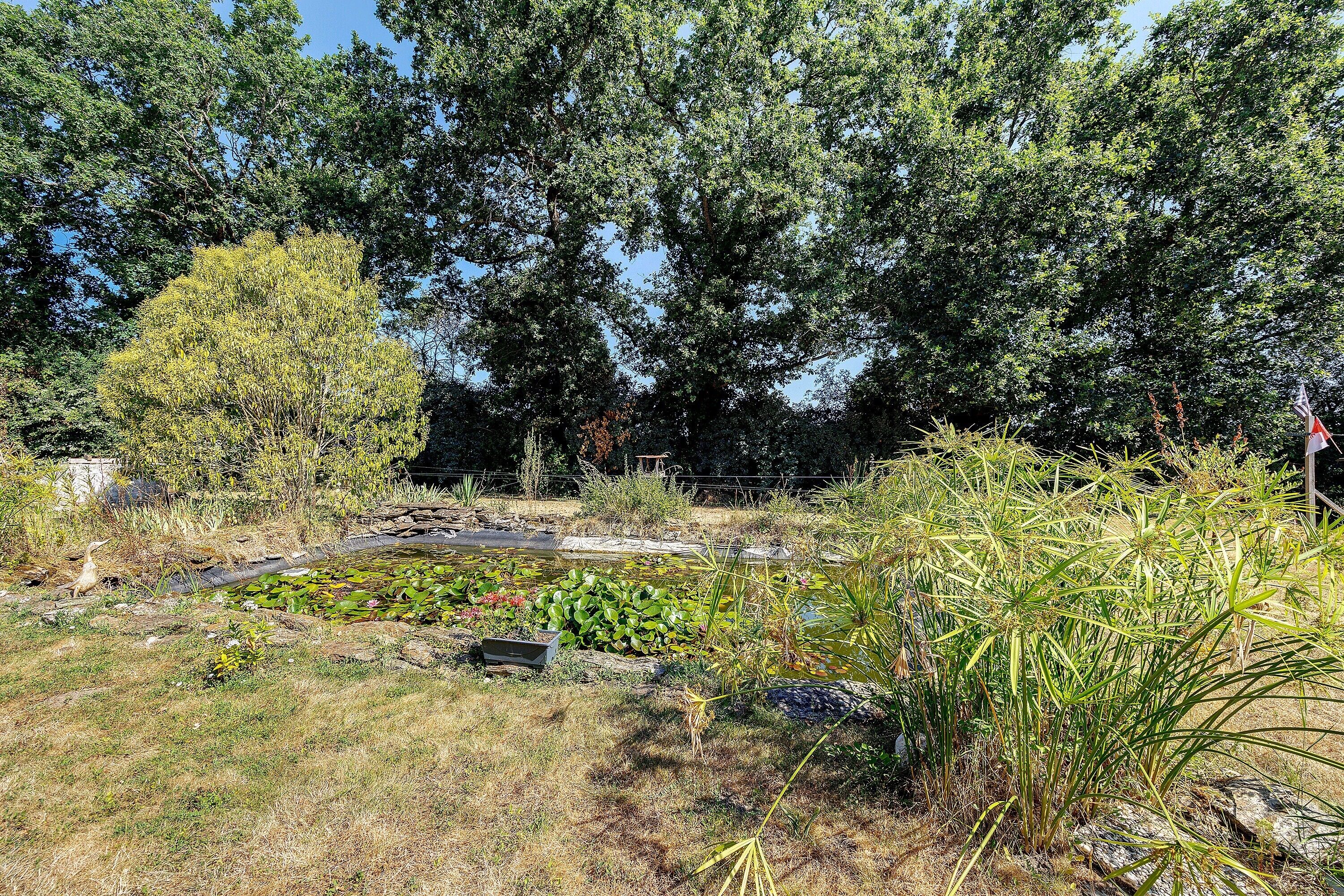 Un jardin avec un étang, entouré de différentes plantes et arbres.