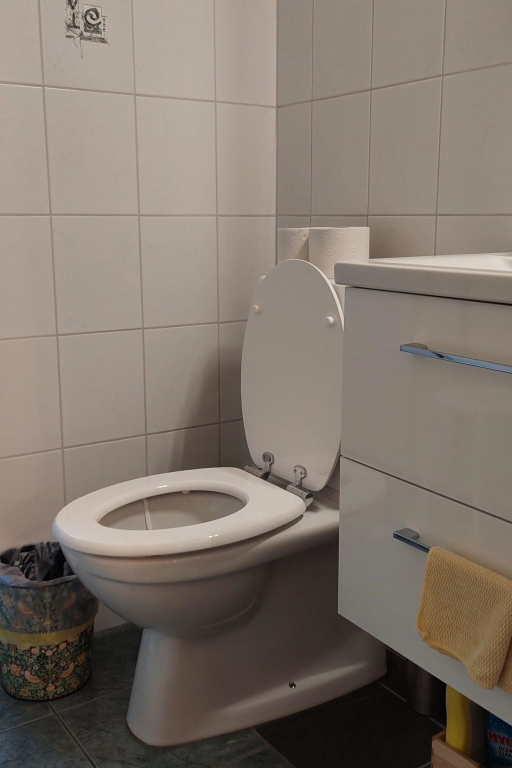 Ein Badezimmer mit Toilette, Mülleimer und Waschbecken mit Handtuch.
