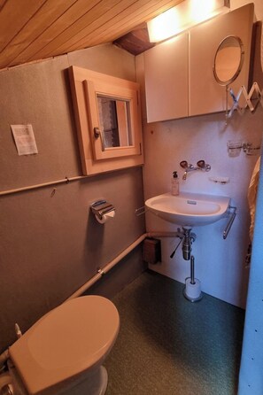 A small, compact bathroom with a toilet, a sink, and a mirror. - Bachhüsi Appartement/Fewo, Dusche oder Bad, WC 6-Bettwohnung by Interhome (Zweisimmen)