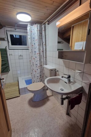 A compact bathroom with a toilet, sink, and shower area. - Bachhüsi Appartement/Fewo, Dusche oder Bad, WC 6-Bettwohnung by Interhome (Zweisimmen)