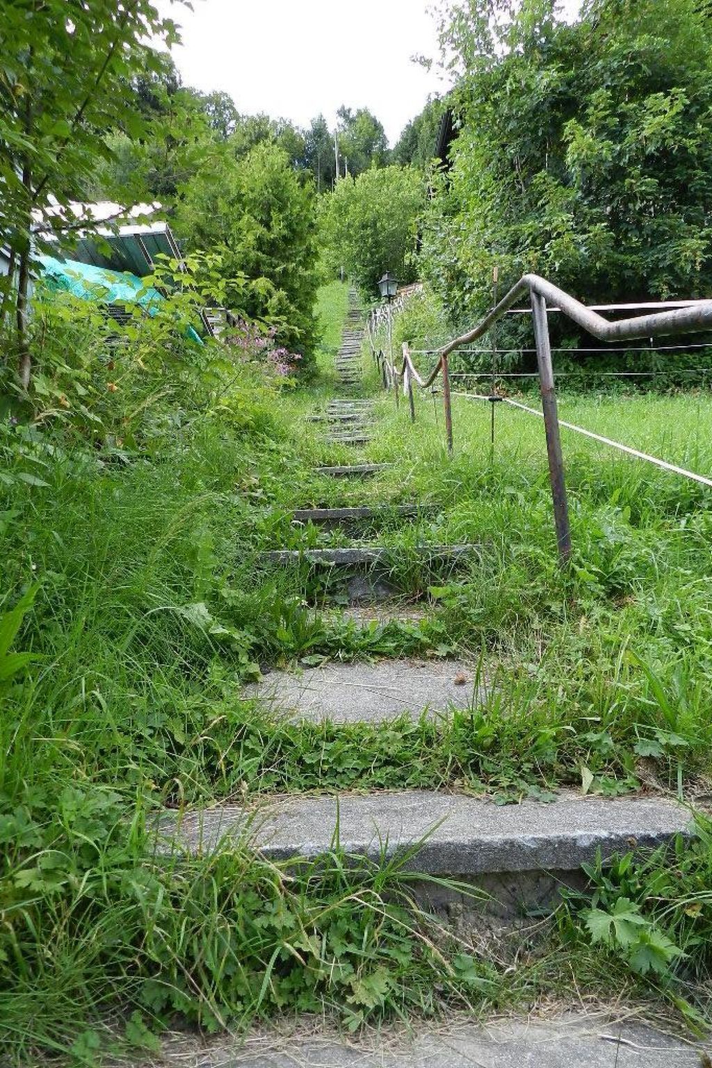 Ein Weg mit Stufen durch ein üppiges Grün, umgeben von dichtem Blattwerk und einem Zaun.
