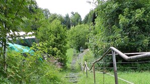 Un sentiero con gradini che si inoltra in una zona verde lussureggiante, circondato da fitta vegetazione e un recinto.