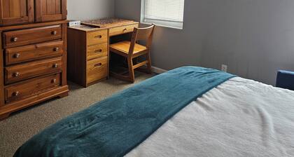 Cozy 1-bedroom apartment on the trolley line 10 min from downtown pittsburgh