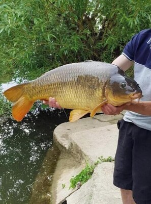Une personne tenant un gros poisson près d’une étendue d’eau.