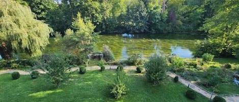Un exuberante jardín con un estanque, rodeado de diversos árboles y arbustos.