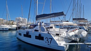 Ein Yachthafen mit mehreren Segelbooten, darunter ein markantes Boot mit der Nummer 37.