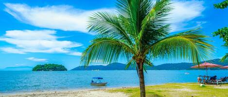 Una playa con una palmera, un bote y una isla distante.
