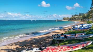 Une plage où des planches de surf sont alignées sur l’herbe, un ciel bleu dégagé et l’océan.