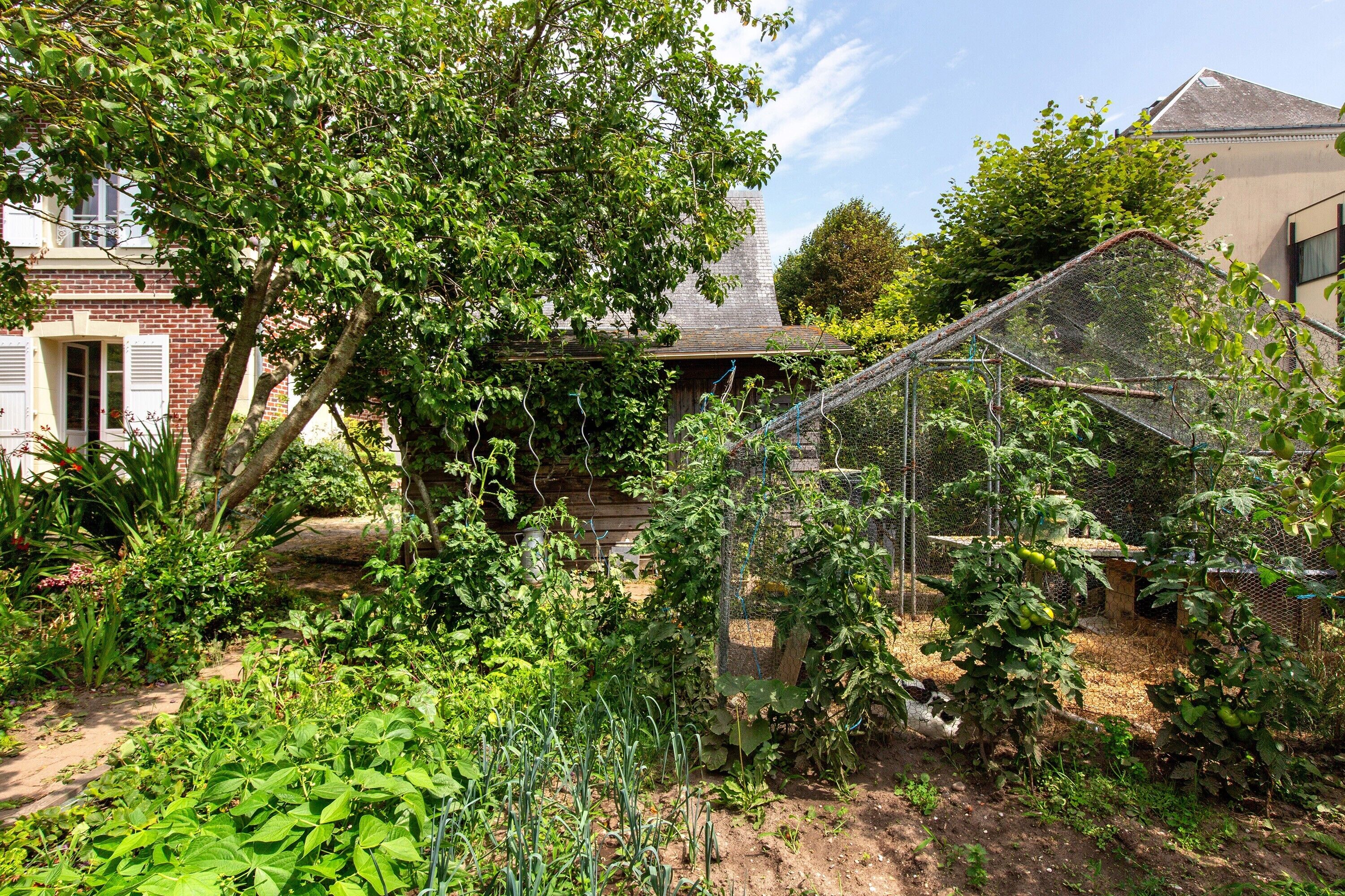 A garden with various plants and a greenhouse structure.