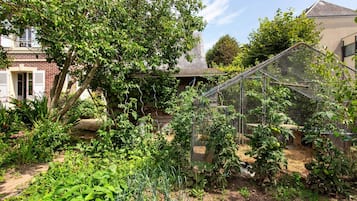 Ein Garten mit verschiedenen Pflanzen und einem Gewächshaus.