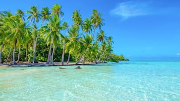Playa