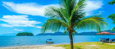 Una playa con una palmera, un bote y una isla distante.