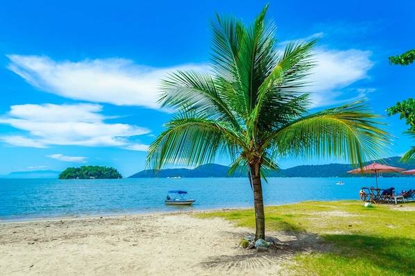 A beach with a palm tree, a boat, and a distant island.