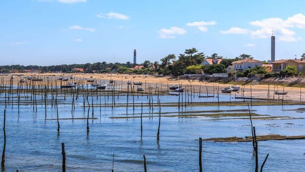Una zona costiera con barche, un faro e edifici residenziali.