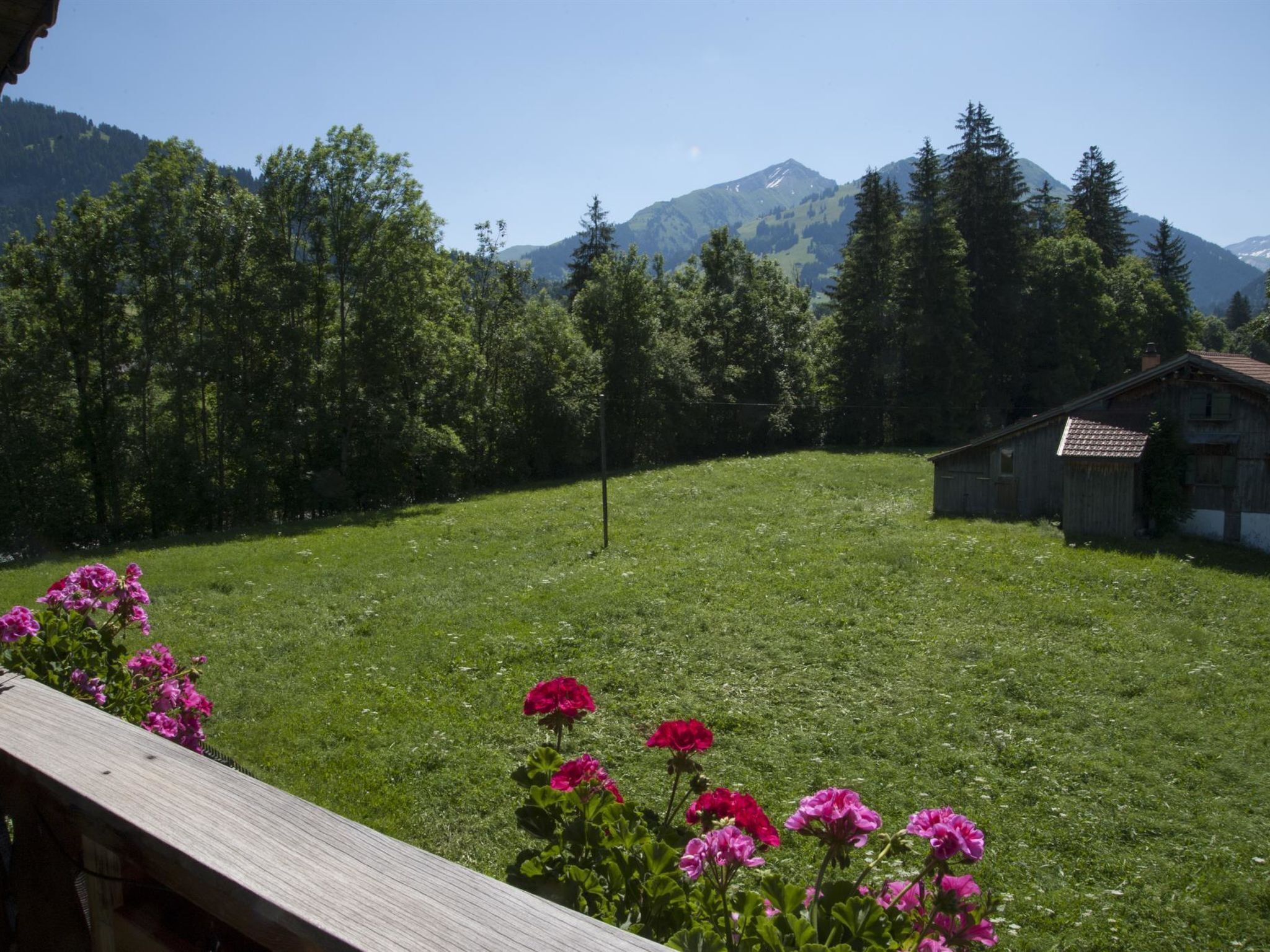 Ein grünes Feld mit einer Holzhütte und einem Berg im Hintergrund.