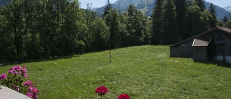 A grassy field with a wooden cabin and a mountain in the background.