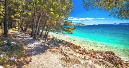 Sun-Kissed Sailing Adventure in Zadar, Croatia