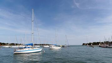 A marina with multiple sailboats docked.