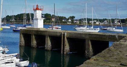 Sun-Kissed Sailing Adventure in Golfo de Morbihan, Brittany