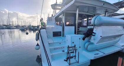 Caribbean Dream: Sun-Kissed Sailing Adventure from Guadalupe, Grande-Terre
