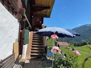 Terras