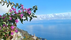 Un village côtier doté d’une architecture traditionnelle, offrant une vue dégagée sur la mer et agrémenté de magnifiques bougainvilliers en fleurs.
