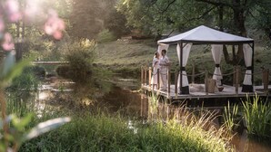 A gazebo over a wooden deck by a pond, surrounded by greenery.