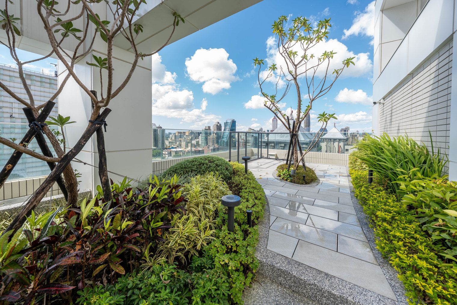 A rooftop garden with a pathway, plants, and a view of the city skyline.