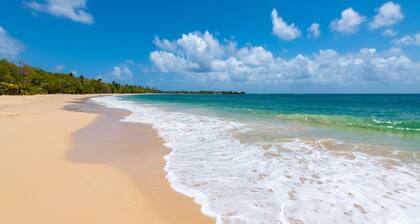 Caribbean Sun-Kissed Sailing: A Luxurious Beach Experience from Martinica, Le Marin