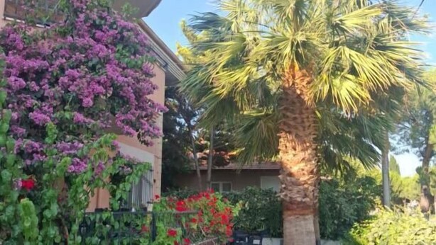 Un patio con mobiliario exterior, una palmera y plantas con flores.