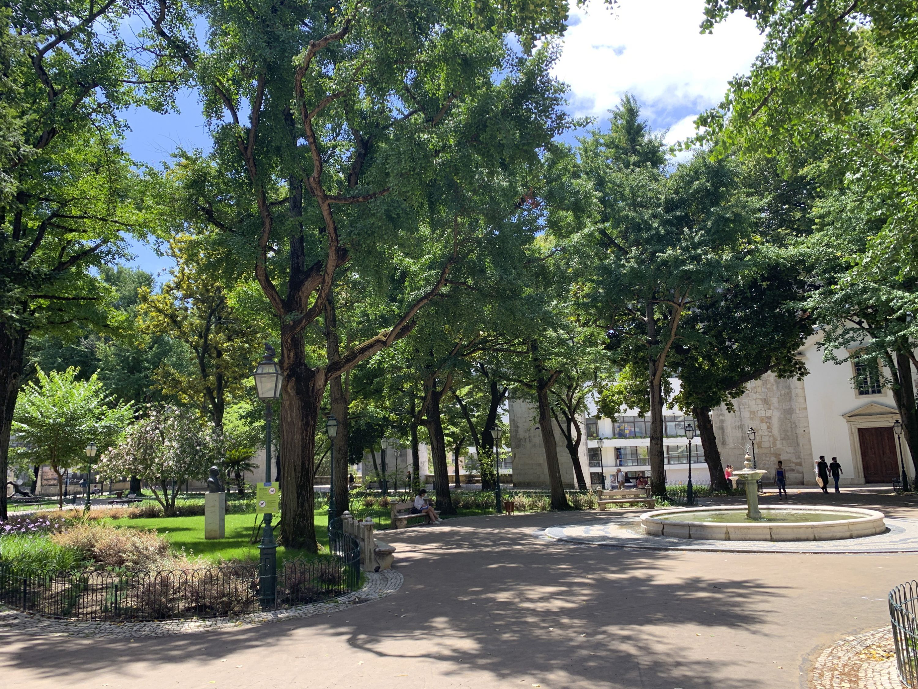 A park with trees, a fountain, and a building in the background.