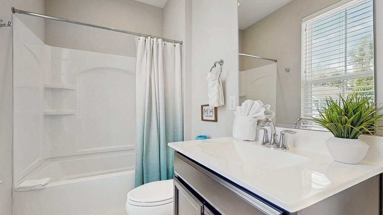 Baño con ducha, inodoro, lavabo y una planta en maceta.