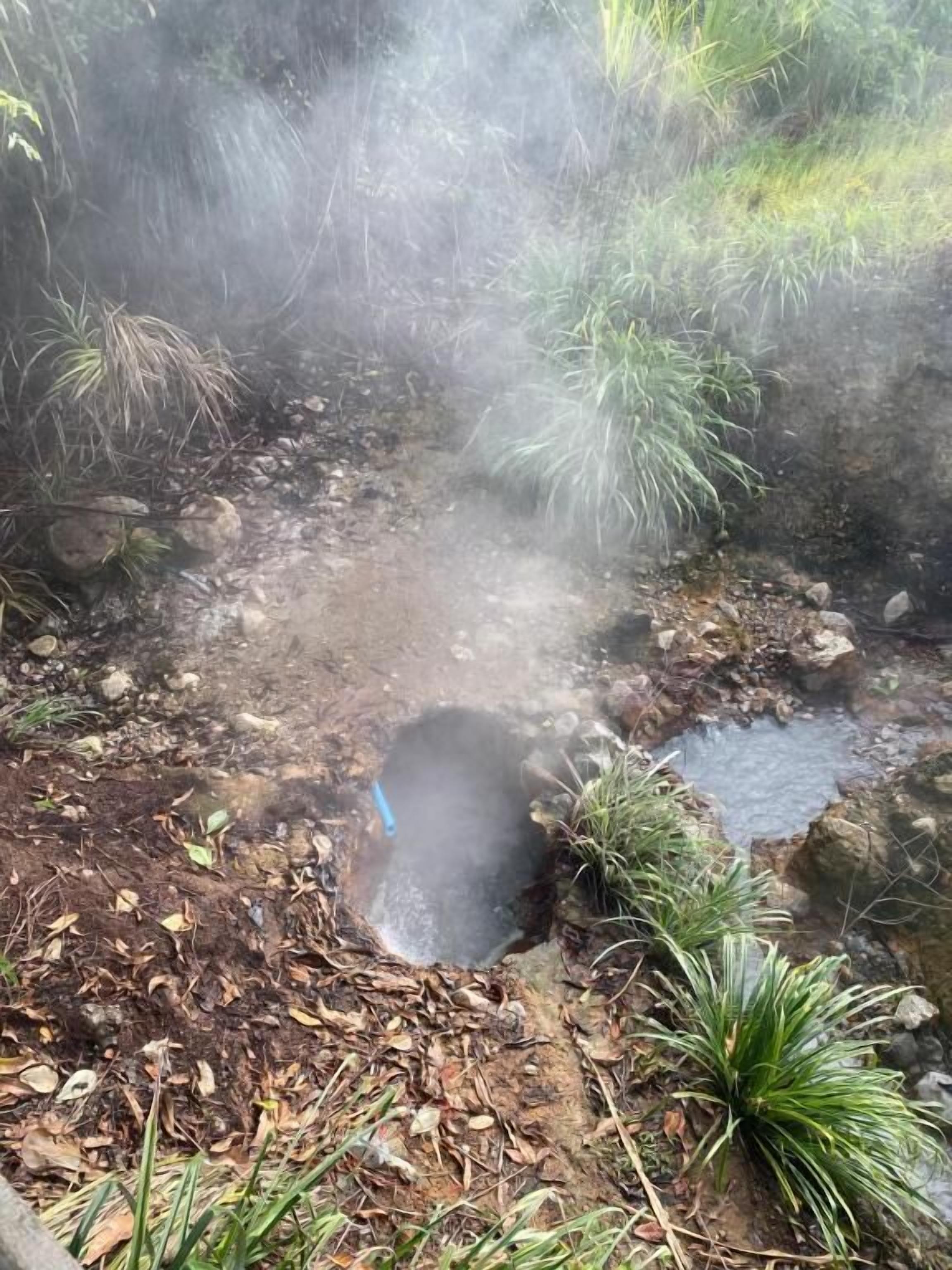 Una fuente termal natural con vapor ascendiendo, rodeada de follaje y rocas.