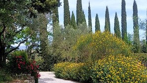 Un sendero en un jardín con muros de piedra y altos cipreses.