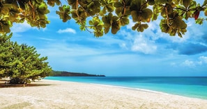 Ein Strand mit klarem türkisblauem Wasser, einem Sandstrand und einem großen Baum mit grünen Blättern.