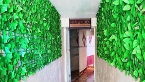 Un pasillo con follaje artificial verde en las paredes, suelo de madera con diseño y un letrero que dice 'BIENVENIDO' al final.