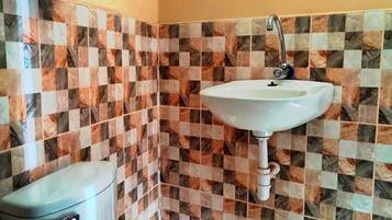 Shower, towels, soap, toilet paper