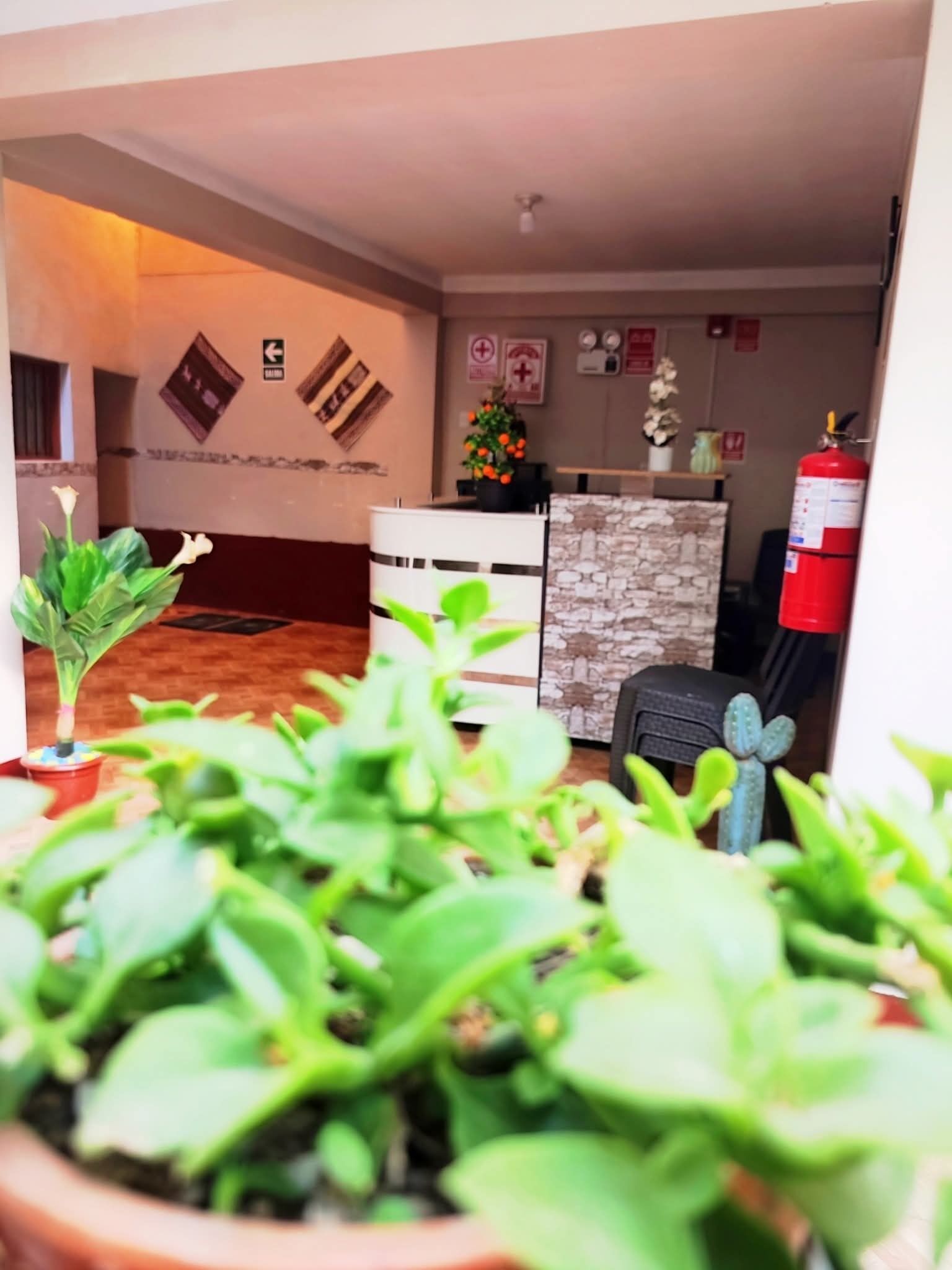 A room with a stone wall, a white cabinet, a cactus, and a fire extinguisher.