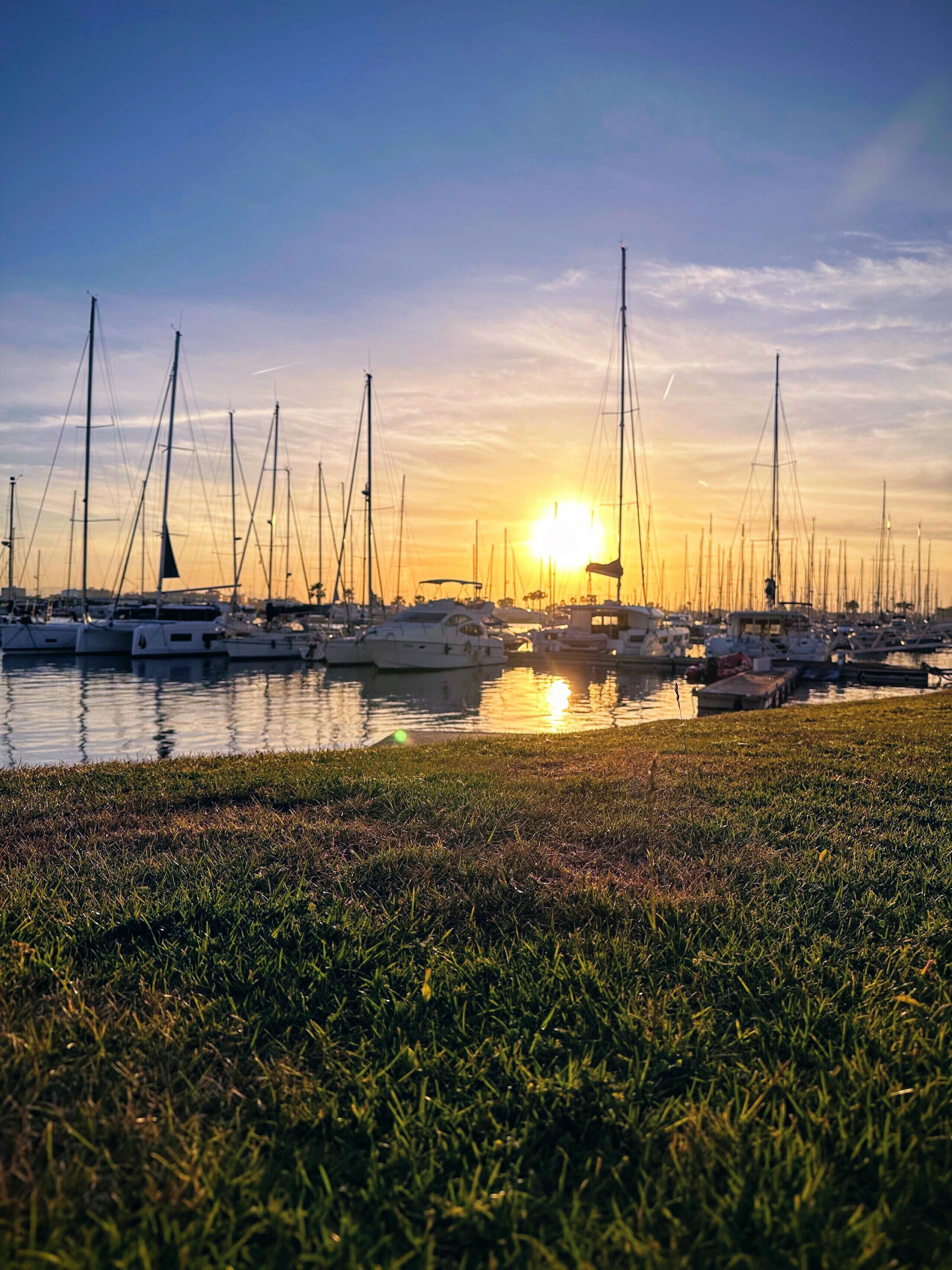 Un puerto deportivo con barcos amarrados, un primer plano con césped y el sol poniéndose al fondo.