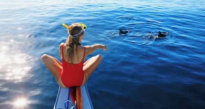 Sun-Kissed Sailing Adventure in Valencia